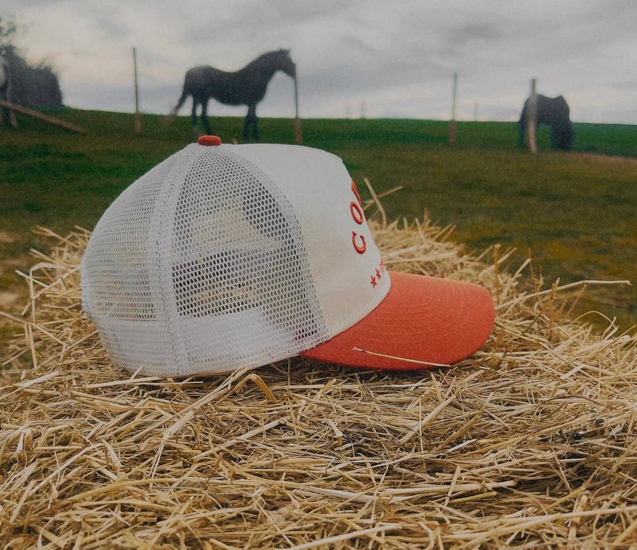 Signature Trucker